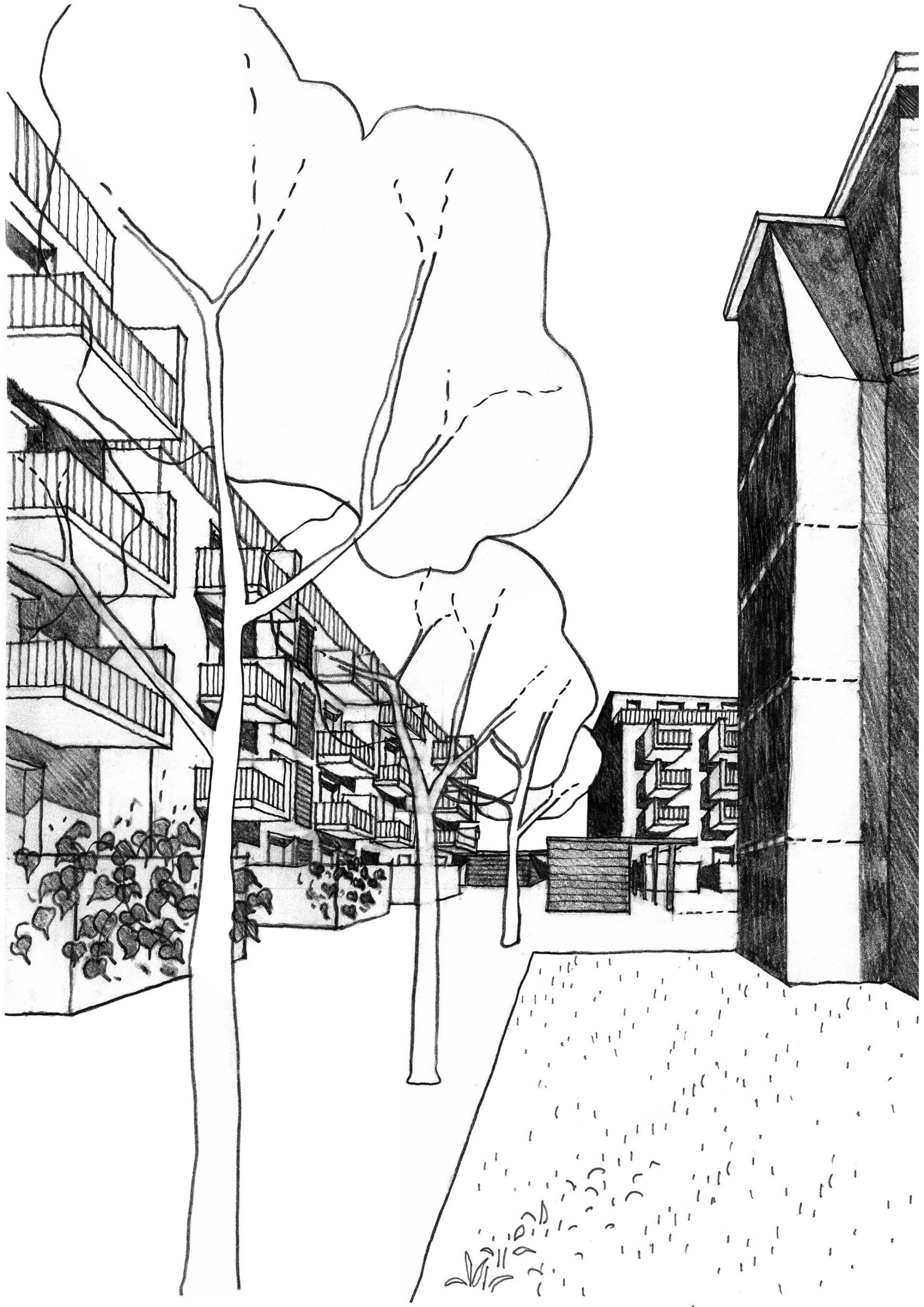 2017_Langen-AmSteinberg05