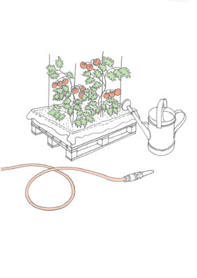 P2014_Paulusstrasse04